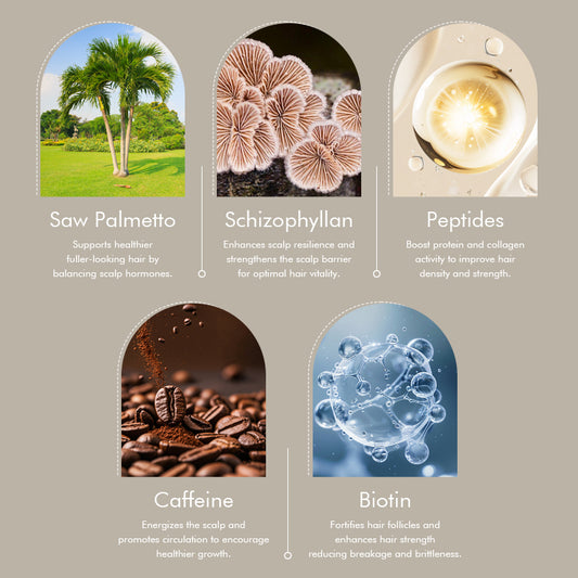 Saw Palmetto Scalp Reset Purifying Cream