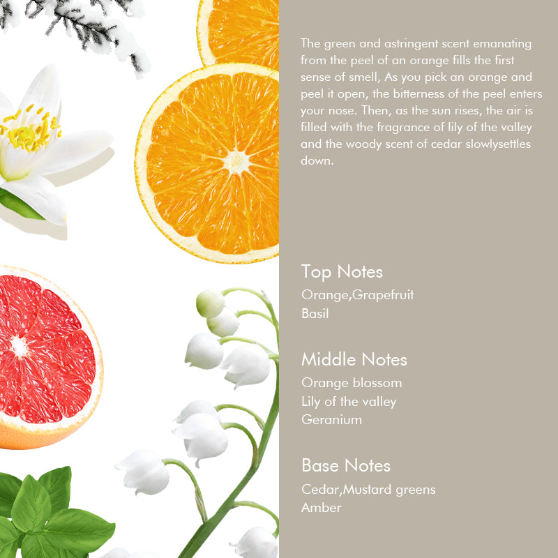 Saw Palmetto Follicle Boost Scalp Serum