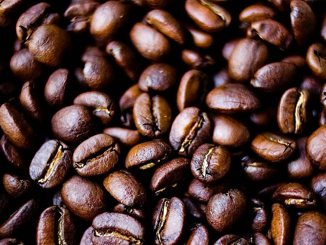 Coffee in Haircare? The Science Behind Alfheim Beauty’s Coffee Series for Thin & Fine Hair