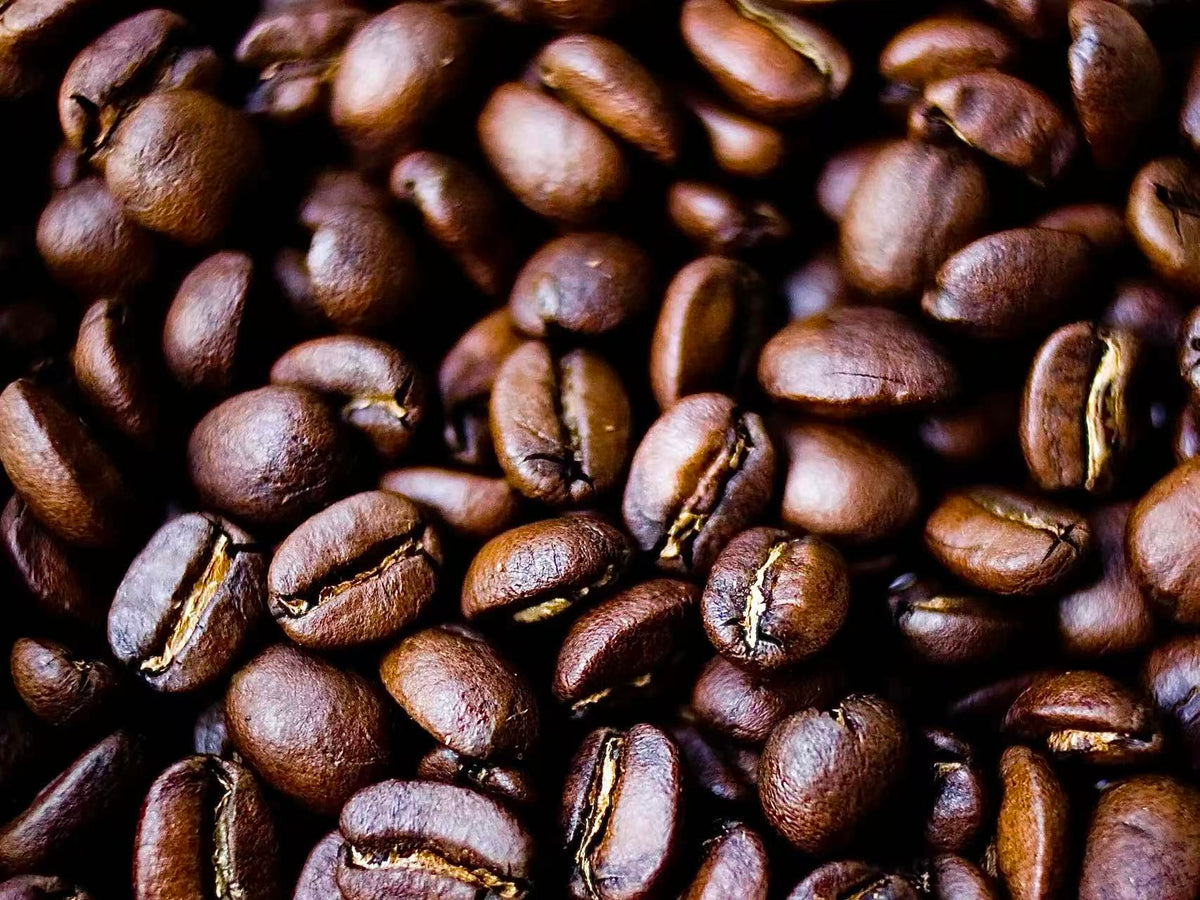Coffee beans representing the ALFHEIM Coffee+ haircare series for thin and fine hair
