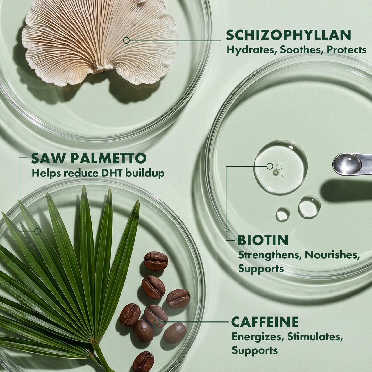 Saw Palmetto Follicle Boost Scalp Shampoo