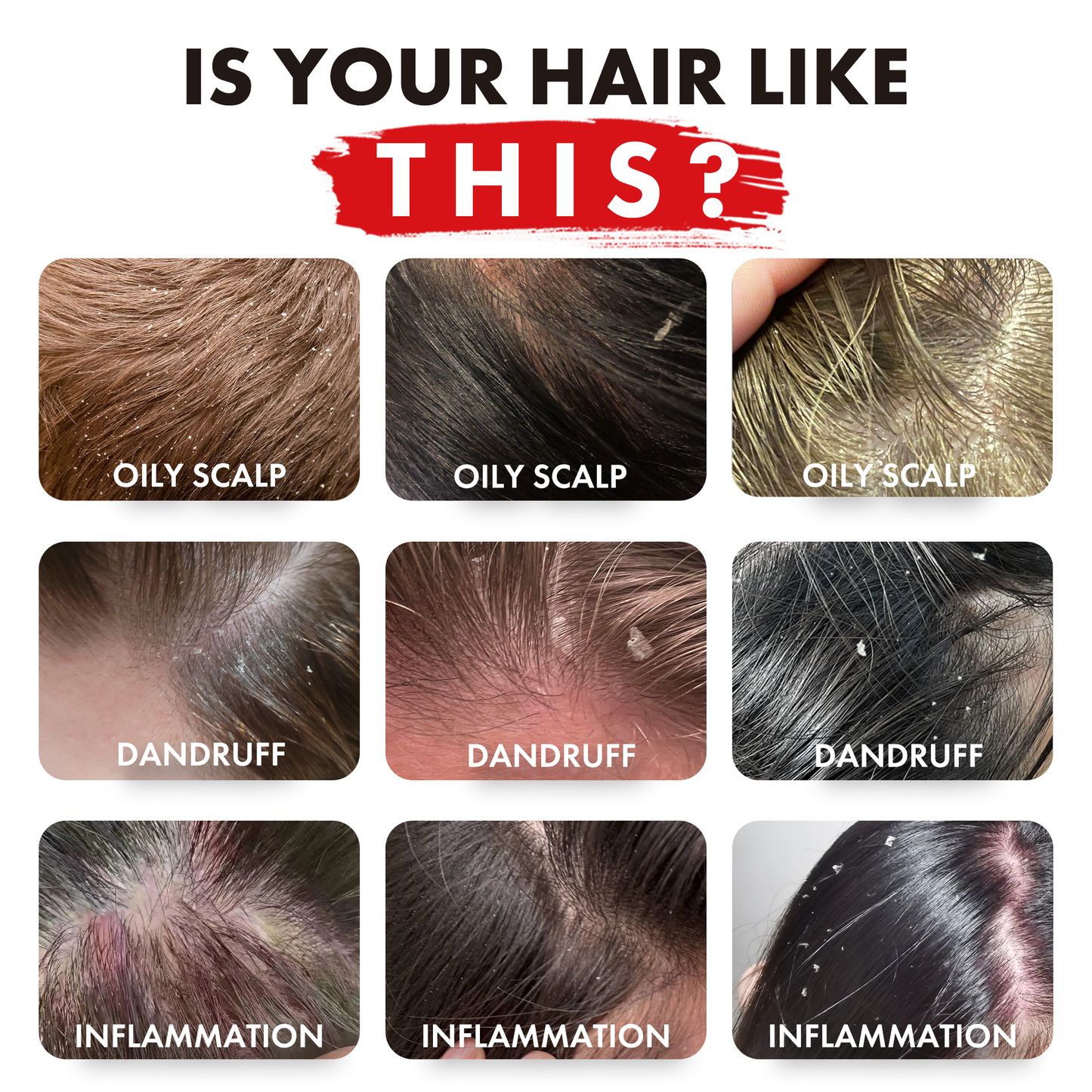 Rosemary+ Purifying Shampoo