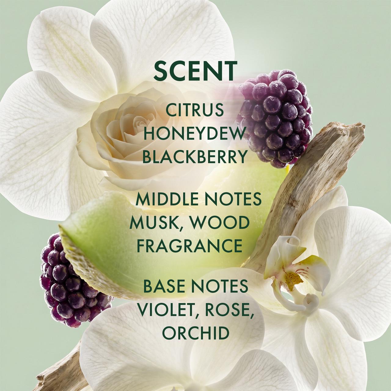 Saw Palmetto Scalp Reset Purifying Cream