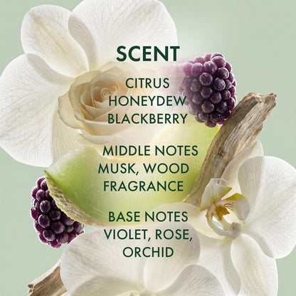 ALFHEIM Red Light Scalp Serum Applicator Set - product detail 9