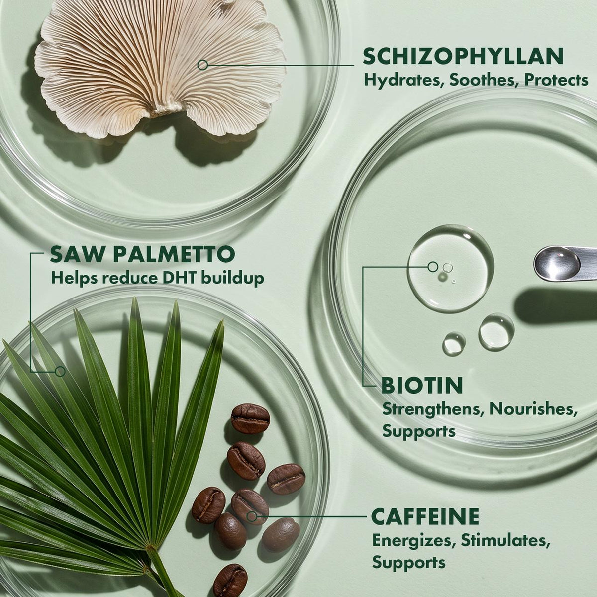 ALFHEIM Saw Palmetto Scalp Reset Purifying Cream - product detail 6