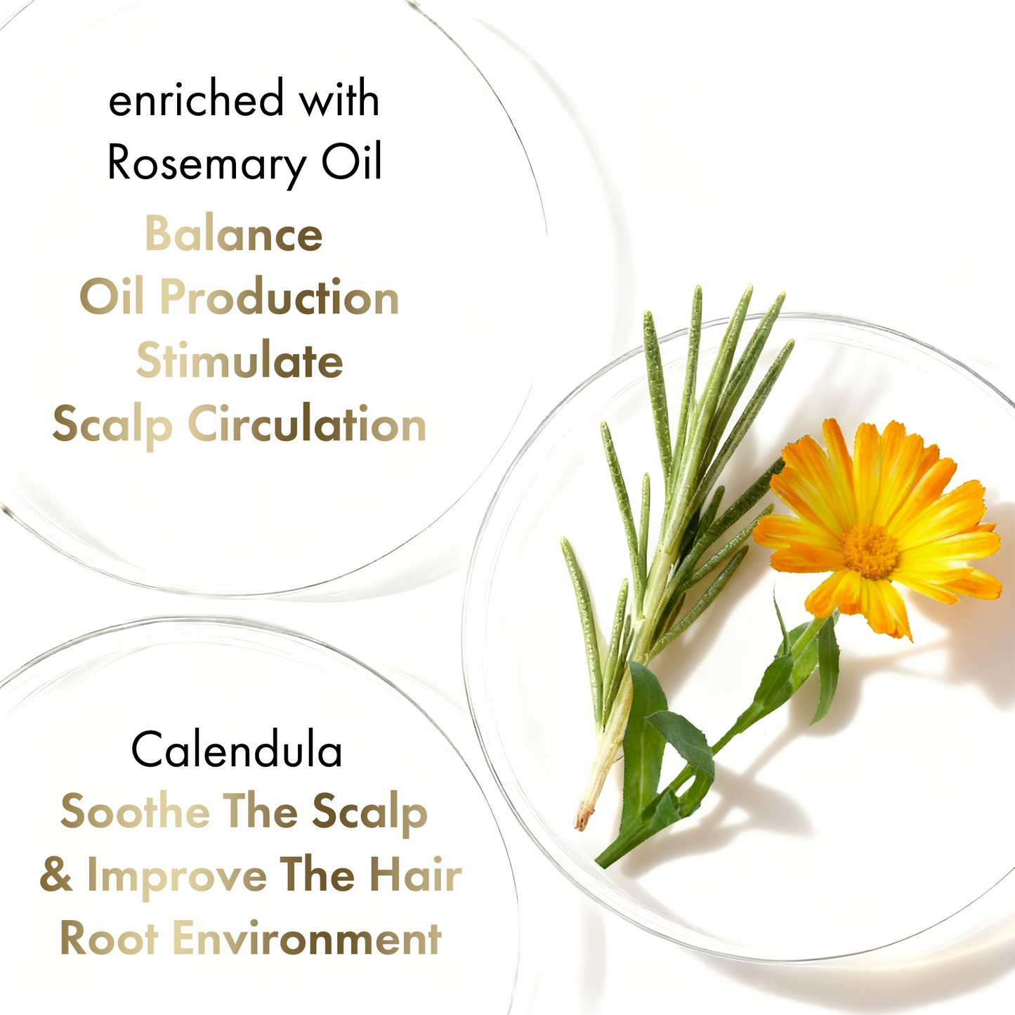 Rosemary+ Purifying Hair Mask